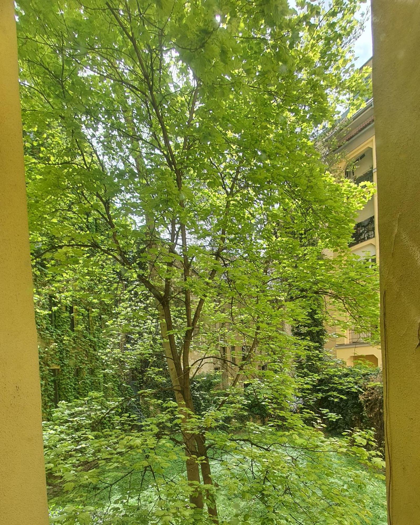Mlynske Nivy 6, Ba Apartment Bratislava Exterior foto